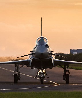 buwch mewn cae gyda pont yn y cefndir